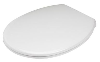 Afbeelding - 600753920230831-JPG